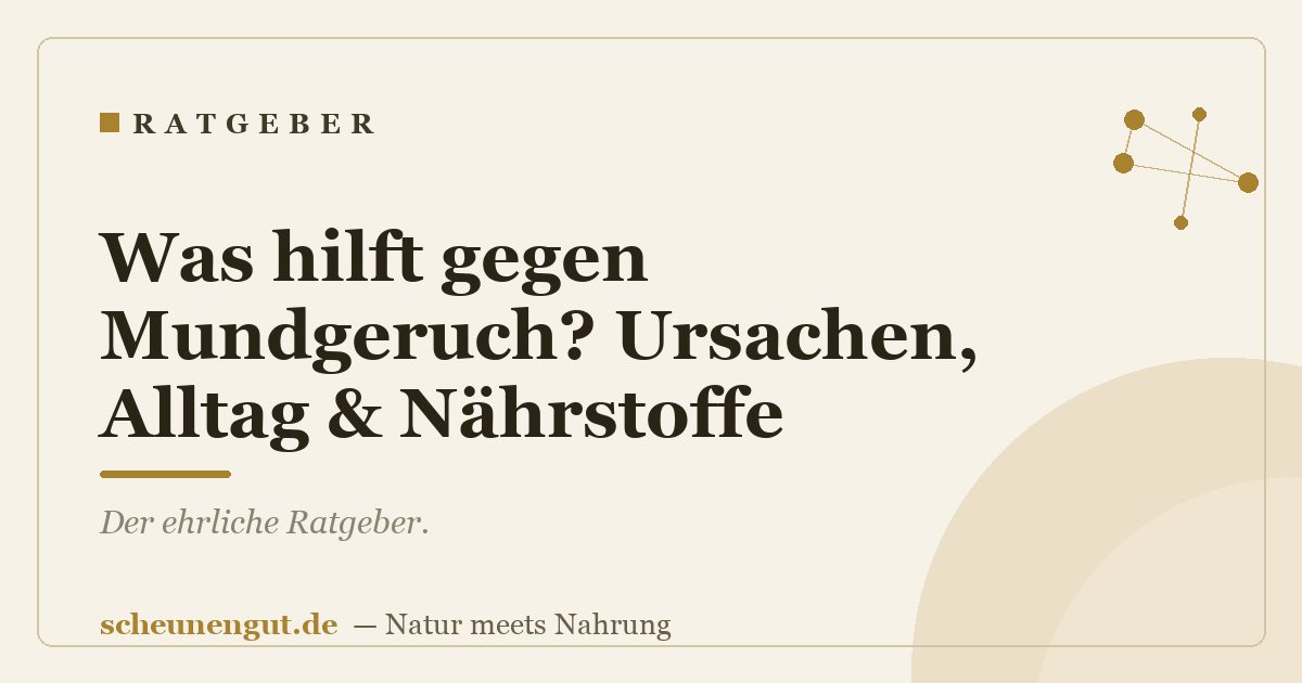 Was hilft gegen Mundgeruch? Ursachen, Alltag & Nährstoffe