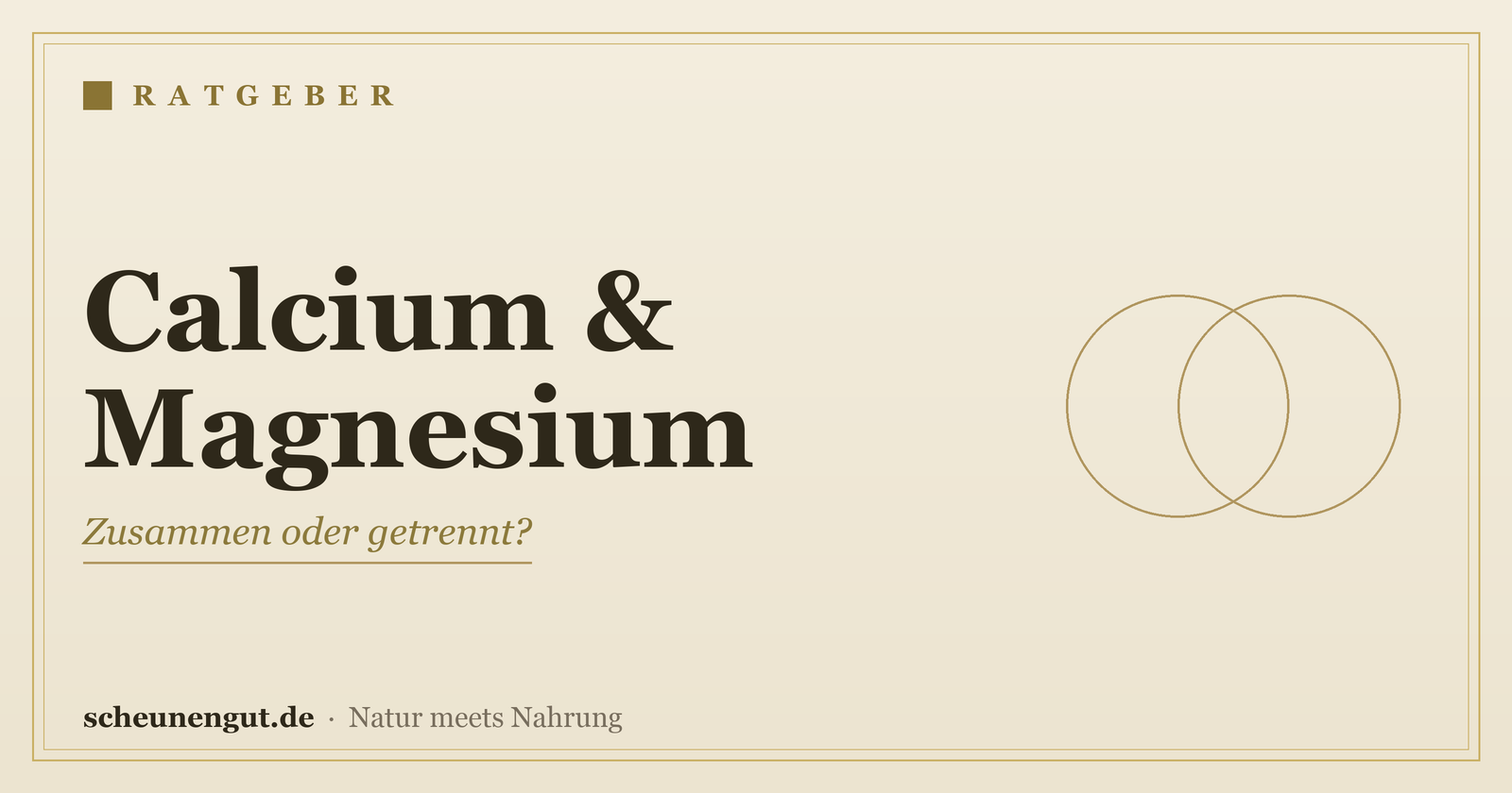 Calcium und Magnesium: zusammen oder getrennt einnehmen? – Ratgeber von Scheunengut