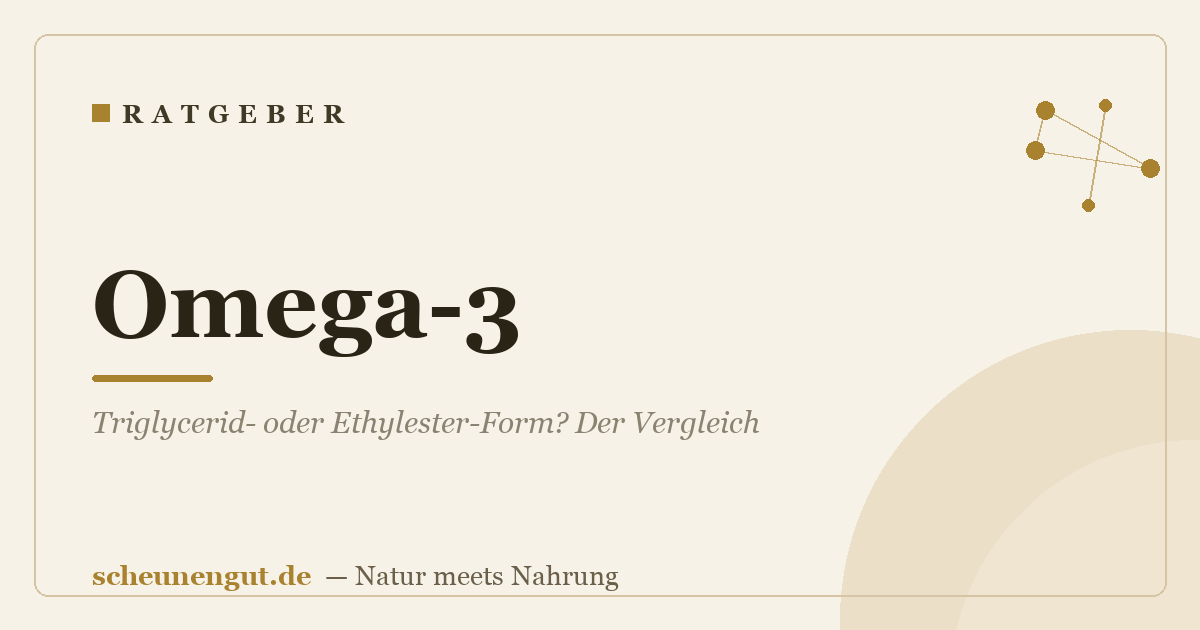 Omega-3: Triglycerid- oder Ethylester-Form? Der Vergleich