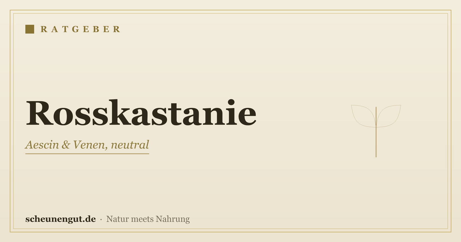 Rosskastanie & Aescin: Venen – Ratgeber von Scheunengut