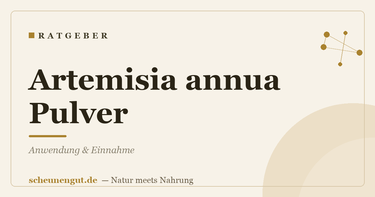 Artemisia annua Pulver: Anwendung & Einnahme