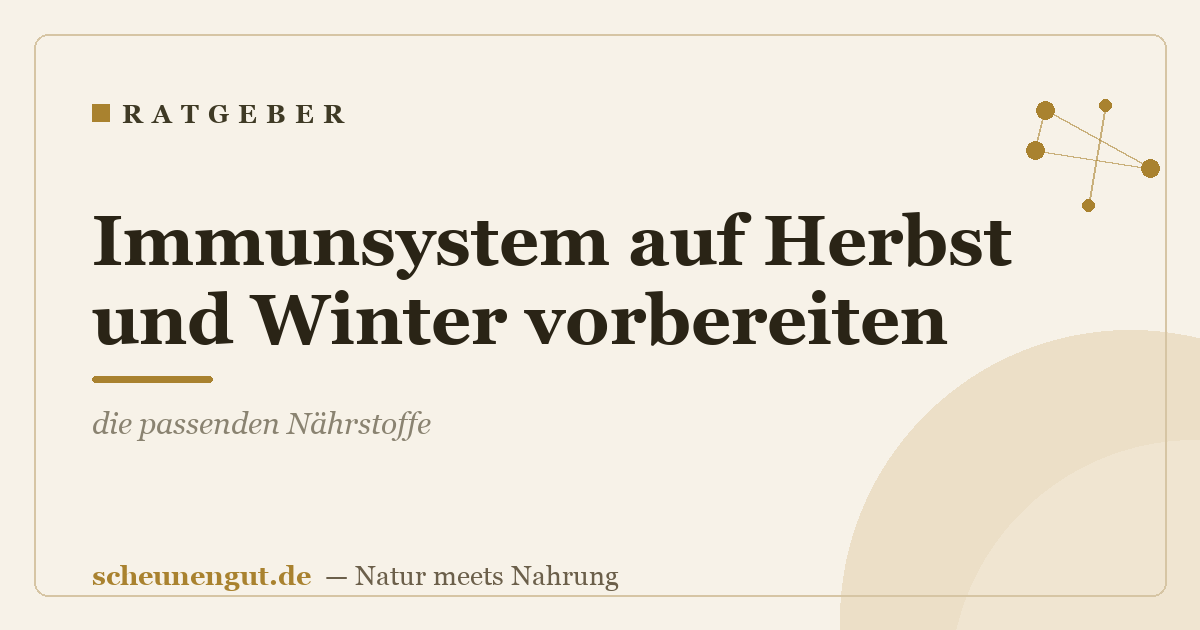 Immunsystem auf Herbst und Winter vorbereiten: die passenden Nährstoffe
