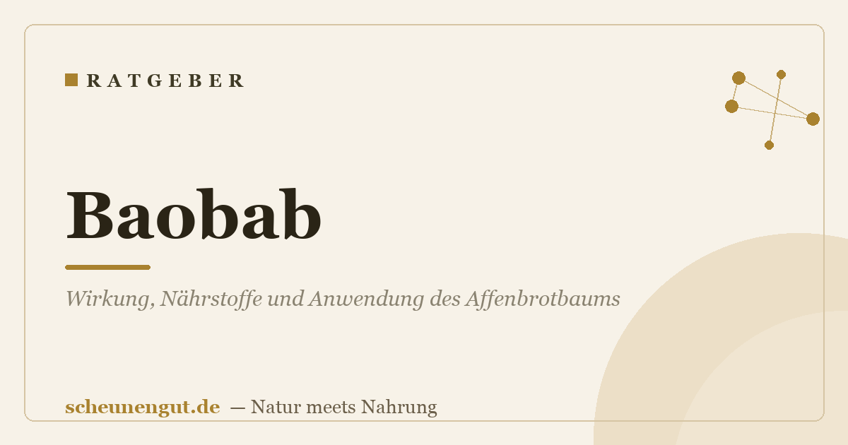 Baobab: Wirkung, Nährstoffe und Anwendung des Affenbrotbaums