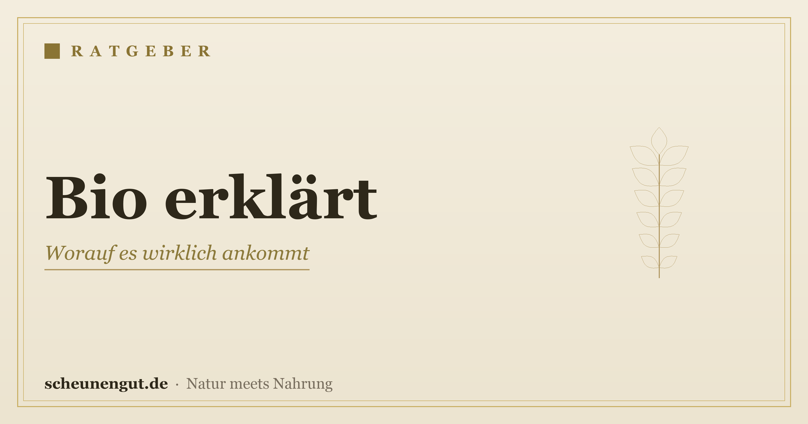 Bio bei Nahrungsergänzung: worauf achten? – Ratgeber von Scheunengut