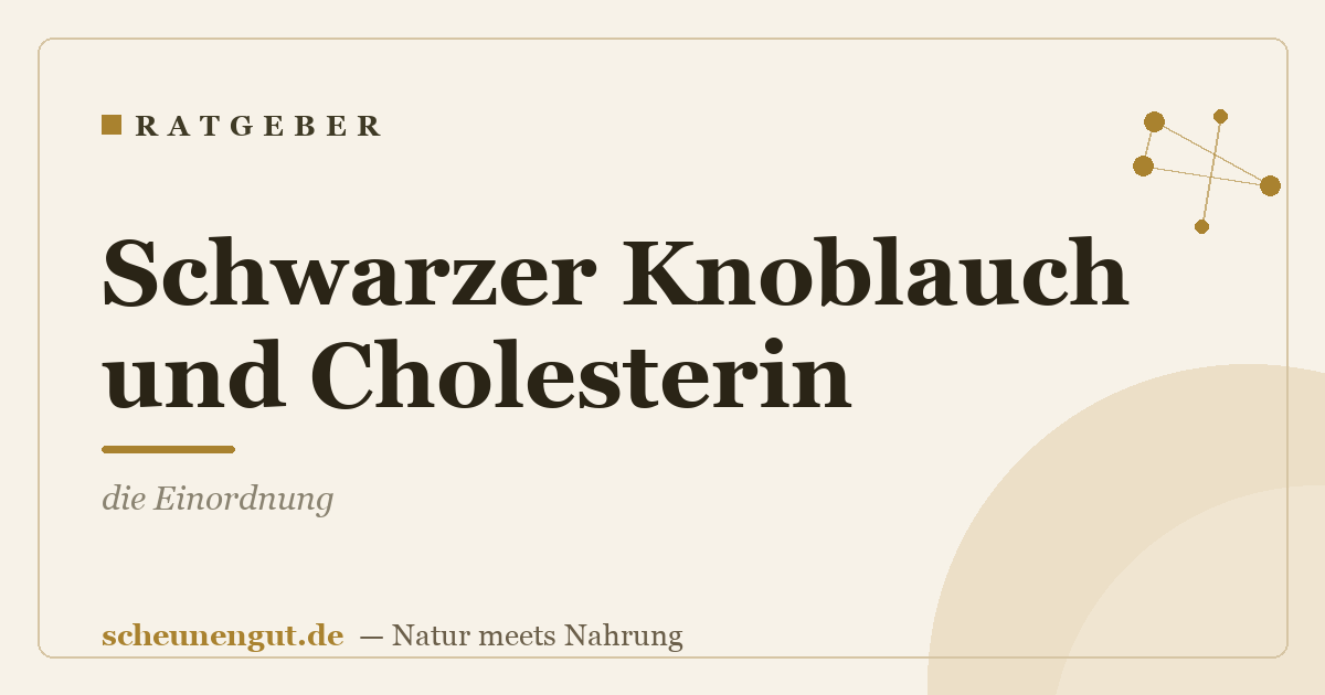 Schwarzer Knoblauch und Cholesterin: die Einordnung