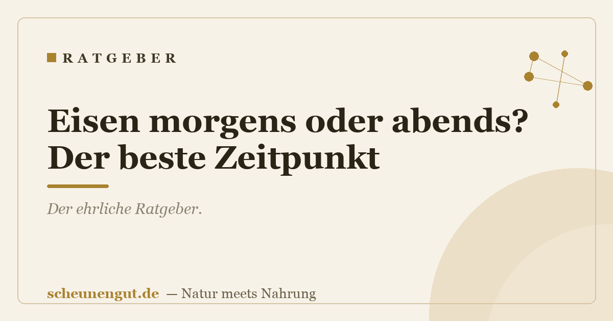 Eisen morgens oder abends? Der beste Zeitpunkt