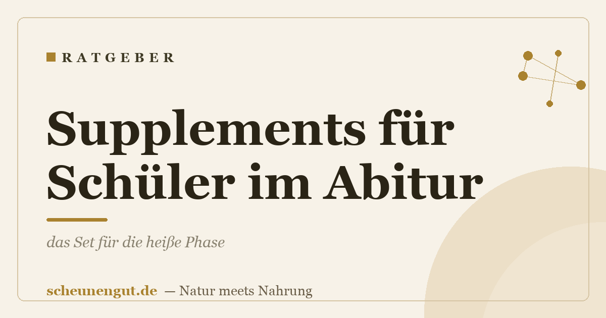 Supplements für Schüler im Abitur: das Set für die heiße Phase