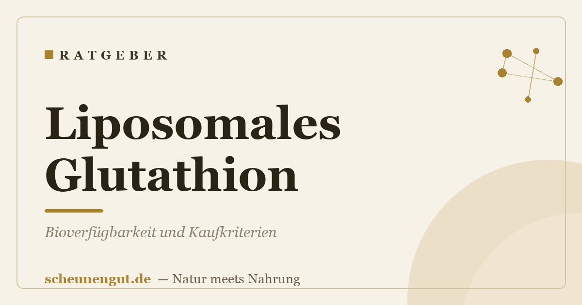 Liposomales Glutathion: Bioverfügbarkeit und Kaufkriterien