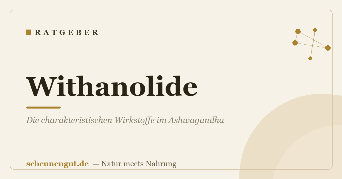 Withanolide: Die charakteristischen Wirkstoffe im Ashwagandha