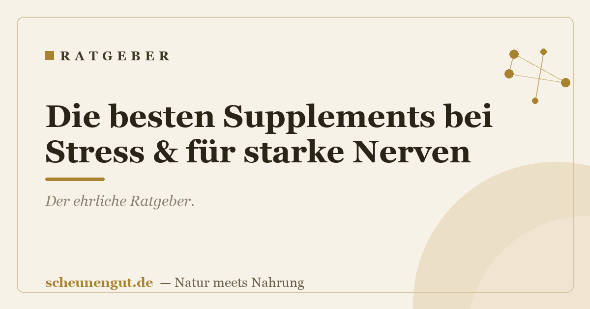 Die besten Supplements bei Stress & für starke Nerven