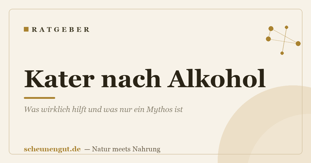 Kater nach Alkohol: Was wirklich hilft und was nur ein Mythos ist