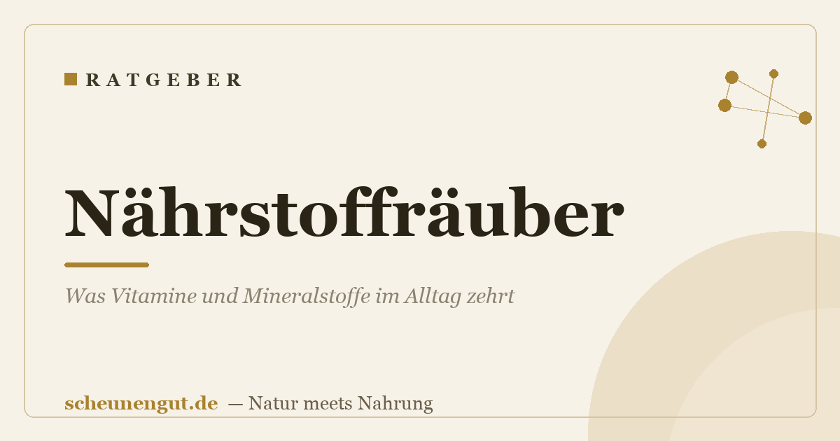 Nährstoffräuber: Was Vitamine und Mineralstoffe im Alltag zehrt