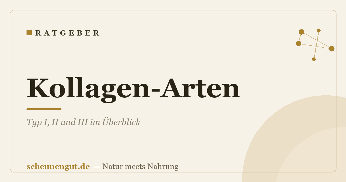 Kollagen-Arten: Typ I, II und III im Überblick