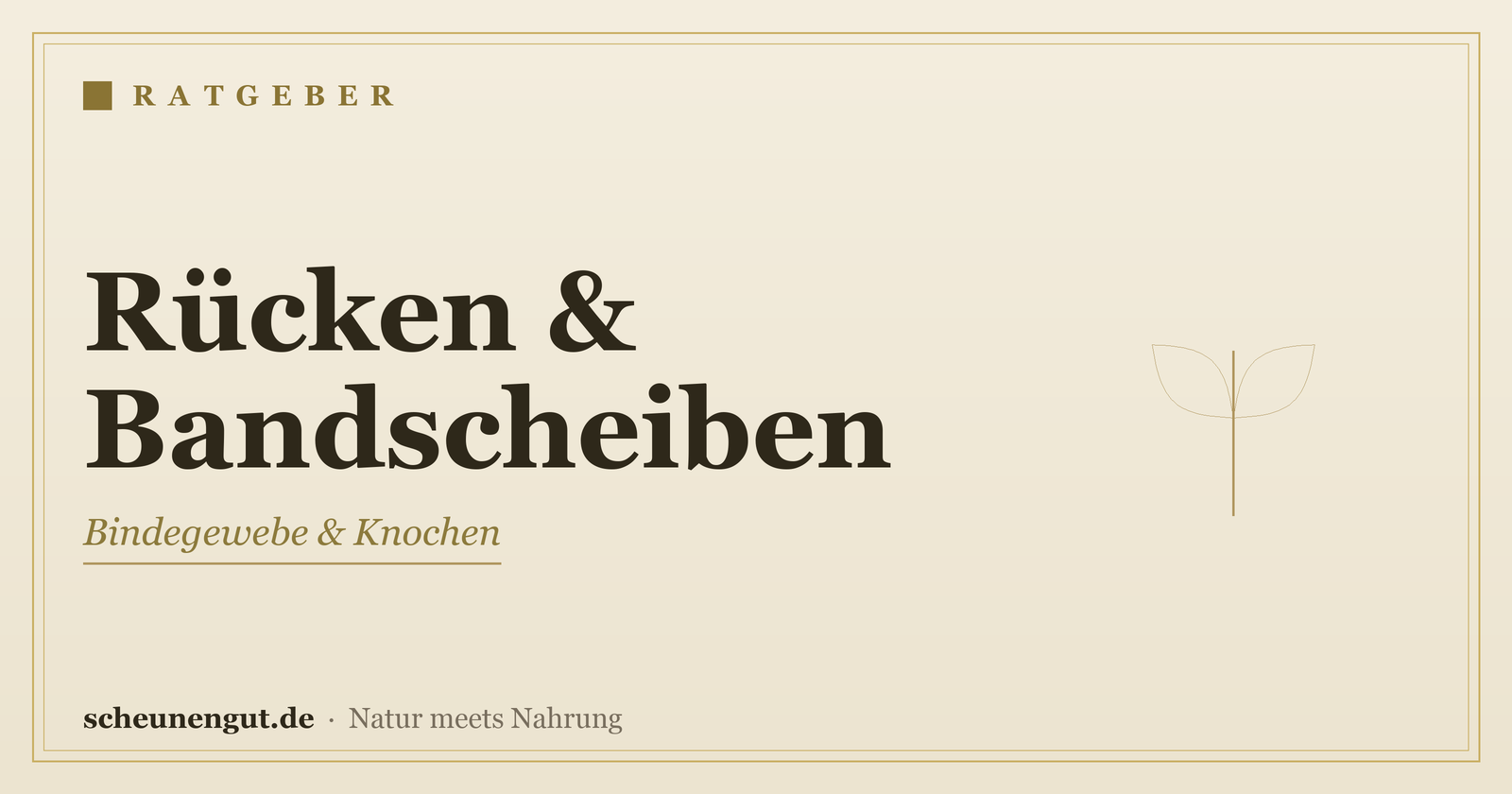 Nährstoffe für Rücken & Bandscheiben – Ratgeber von Scheunengut