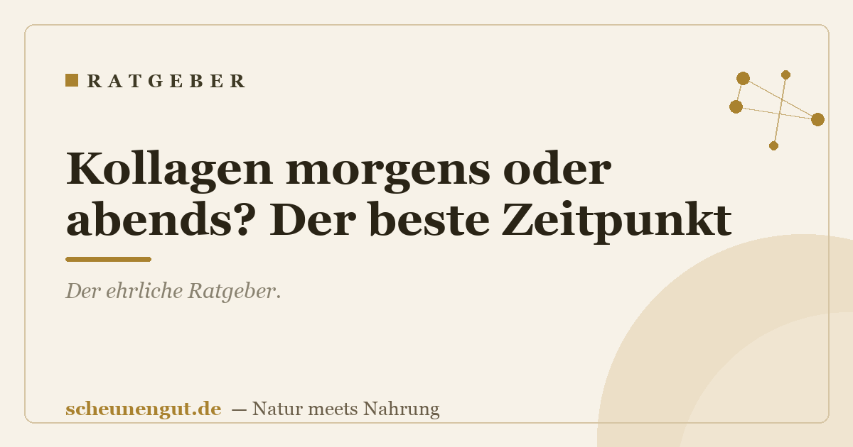 Kollagen morgens oder abends? Der beste Zeitpunkt
