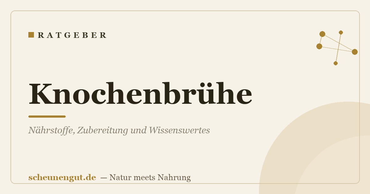 Knochenbrühe: Nährstoffe, Zubereitung und Wissenswertes