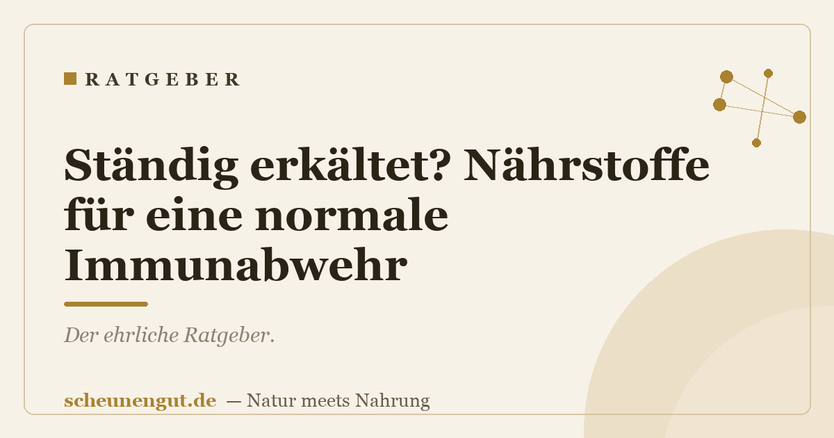 Ständig erkältet? Nährstoffe für eine normale Immunabwehr