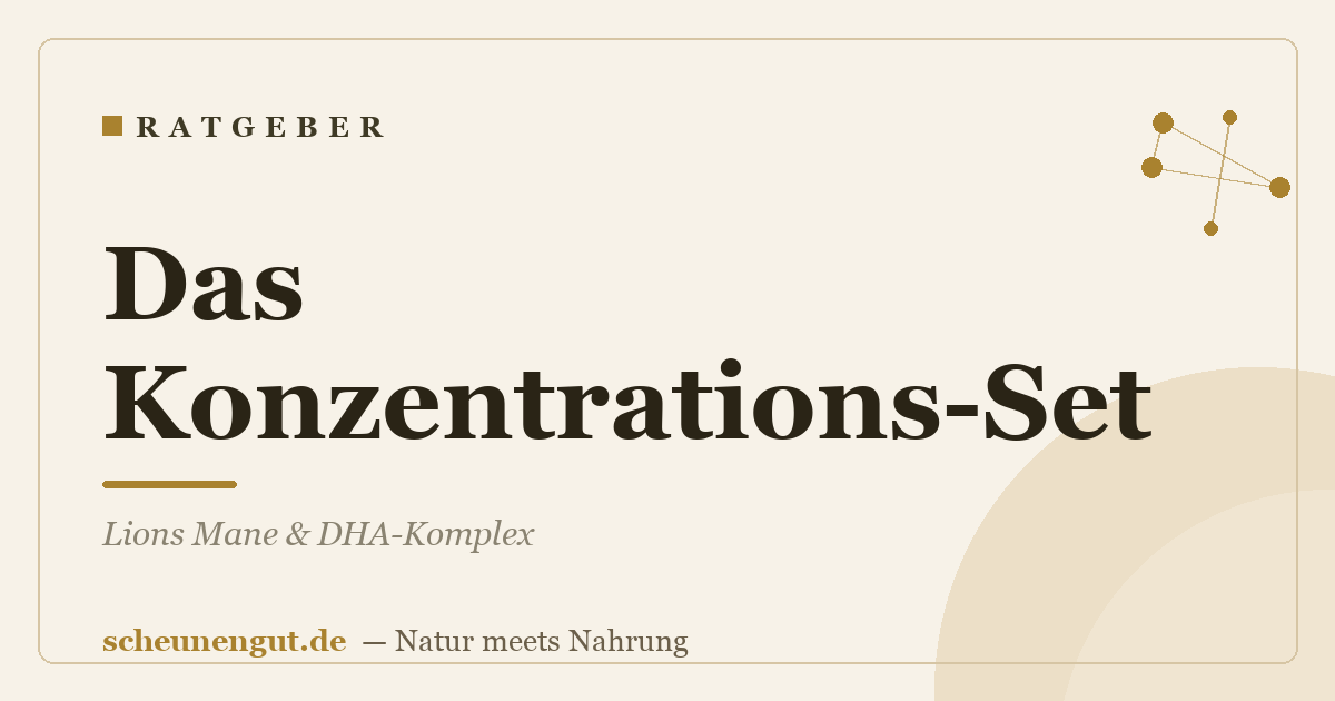 Das Konzentrations-Set: Lions Mane & DHA-Komplex