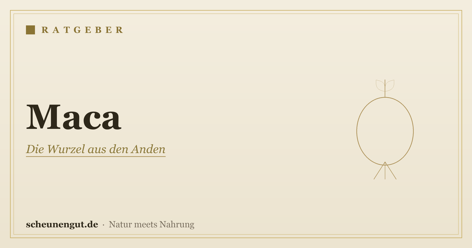 Maca – Ratgeber von Scheunengut