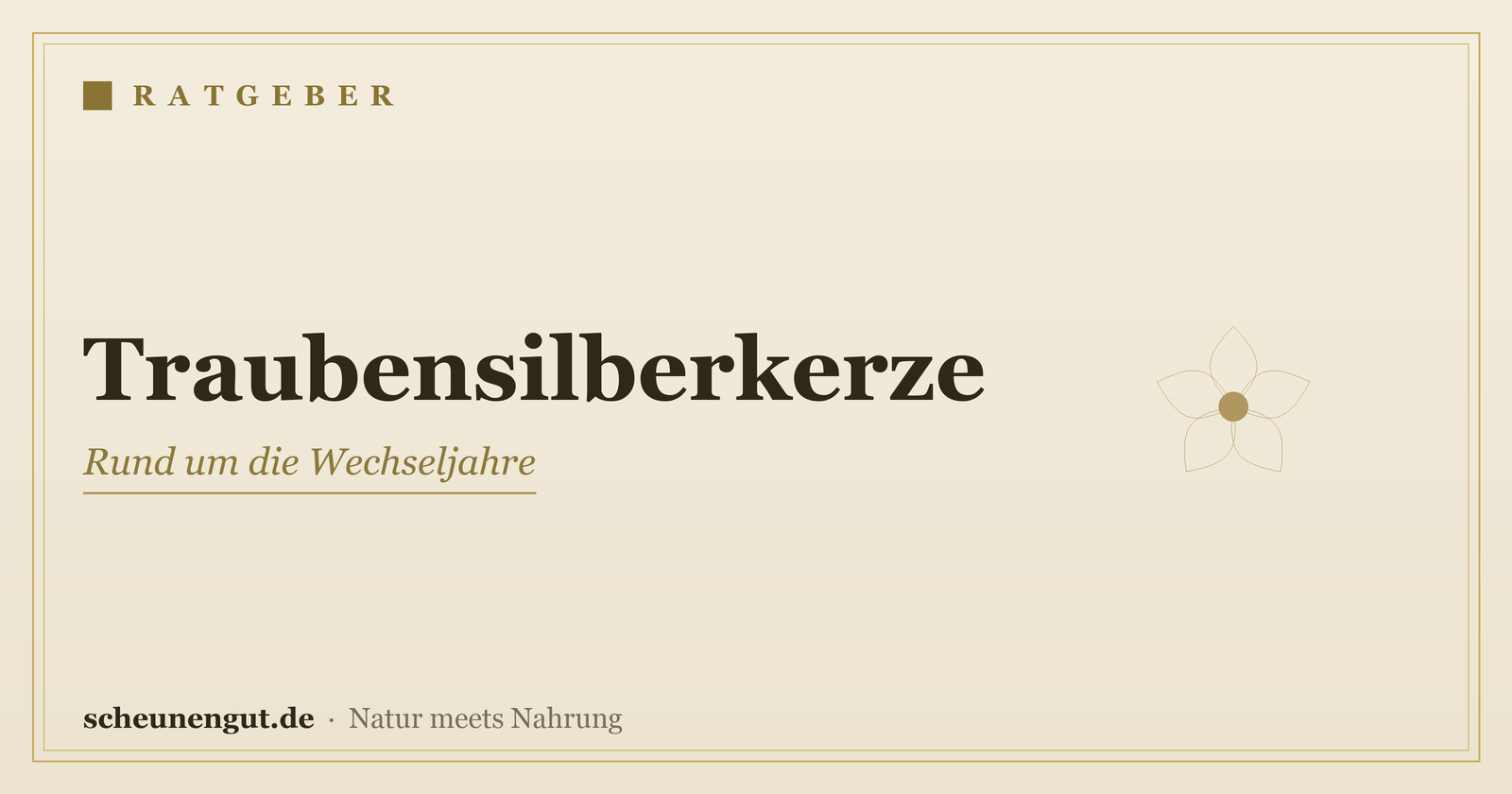 Traubensilberkerze in den Wechseljahren – Ratgeber von Scheunengut