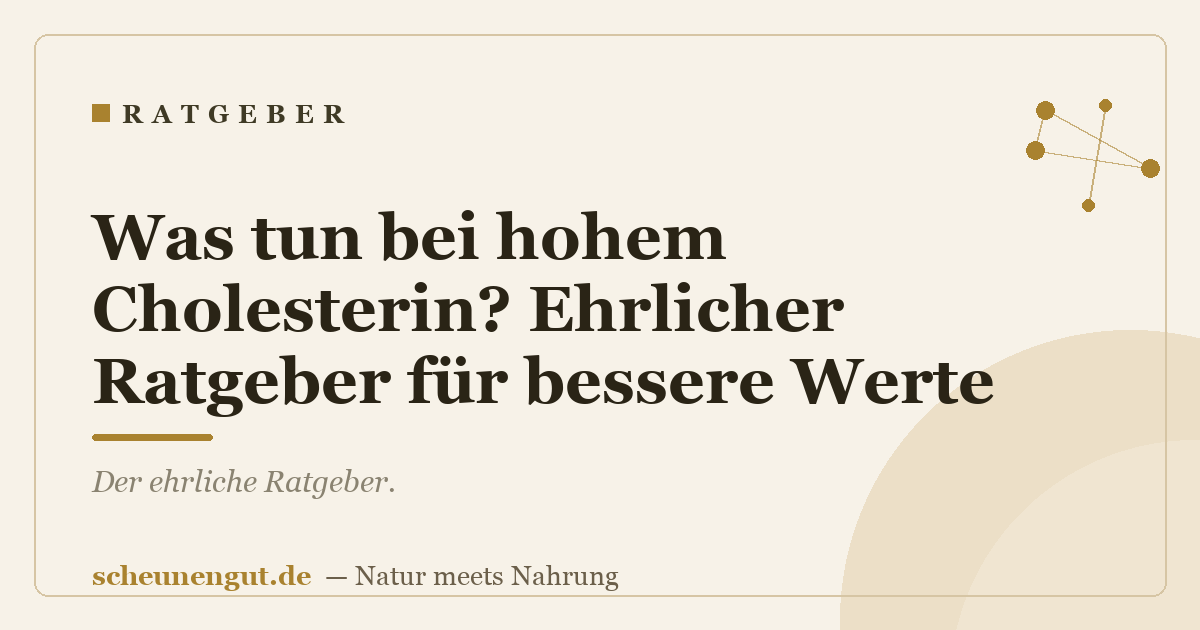Was tun bei hohem Cholesterin? Ehrlicher Ratgeber für bessere Werte