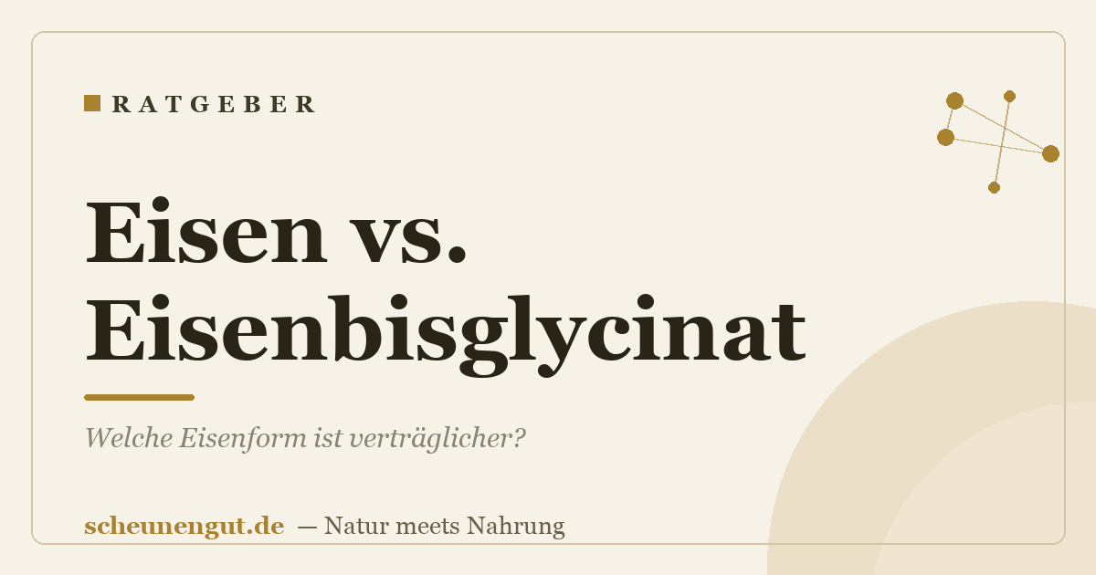 Eisen vs. Eisenbisglycinat: Welche Eisenform ist verträglicher?