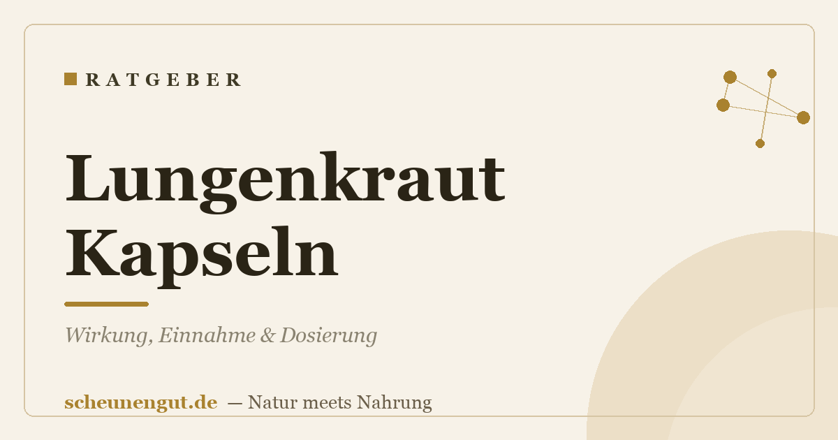 Lungenkraut Kapseln: Wirkung, Einnahme & Dosierung