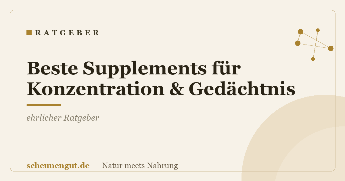 Beste Supplements für Konzentration & Gedächtnis: ehrlicher Ratgeber