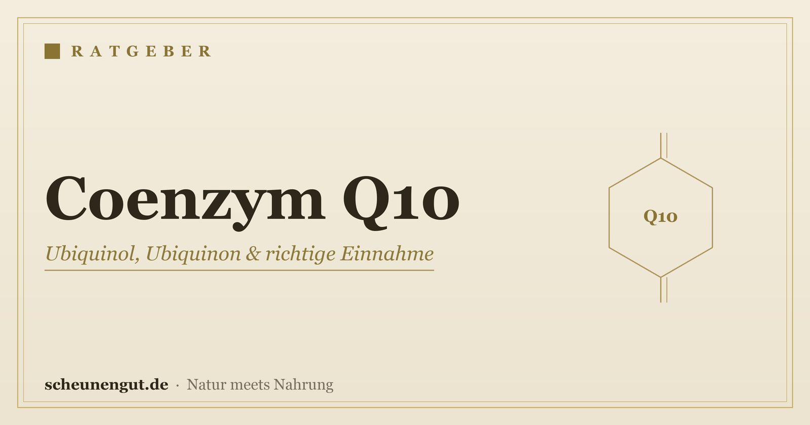Coenzym Q10 – Ratgeber von Scheunengut