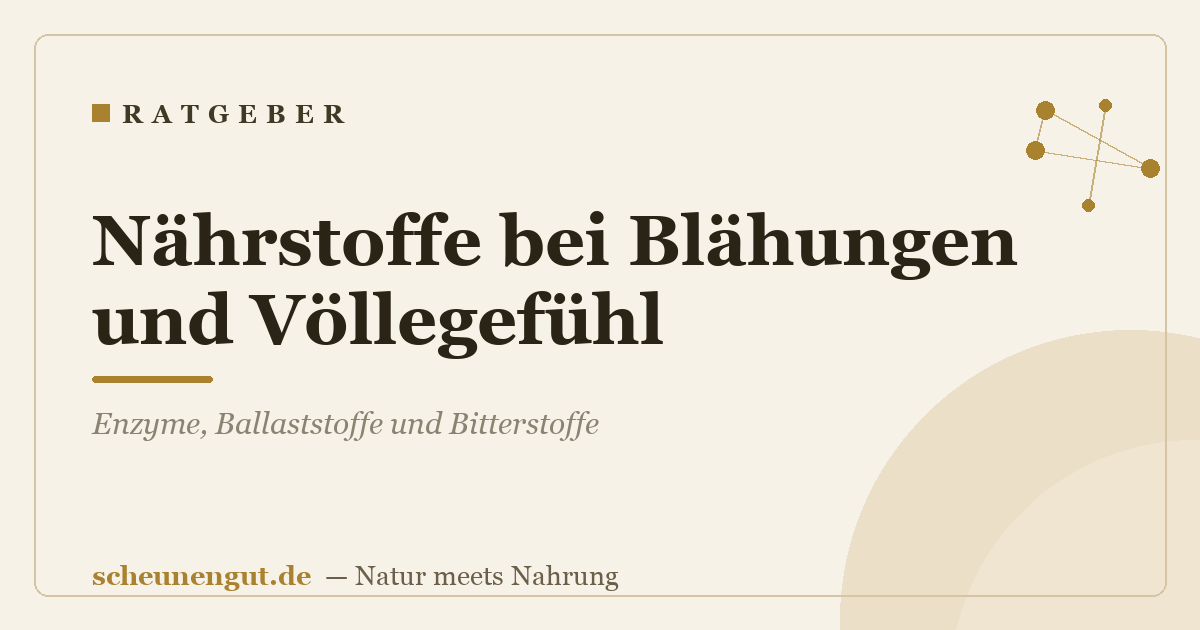 Nährstoffe bei Blähungen und Völlegefühl: Enzyme, Ballaststoffe und Bitterstoffe
