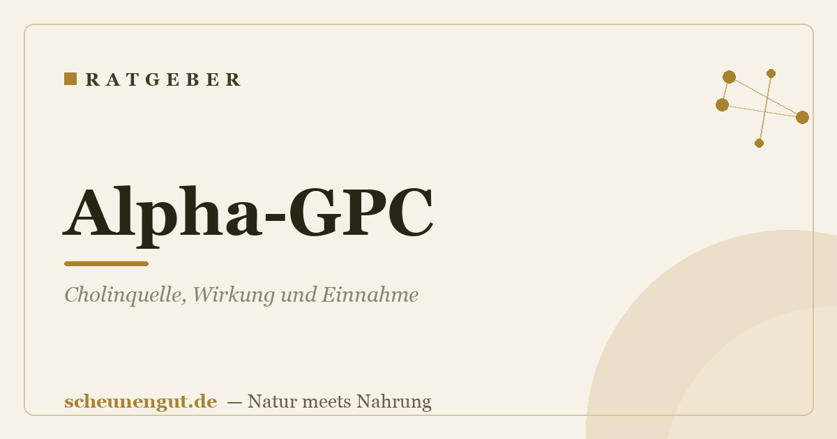 Alpha-GPC: Cholinquelle, Wirkung und Einnahme
