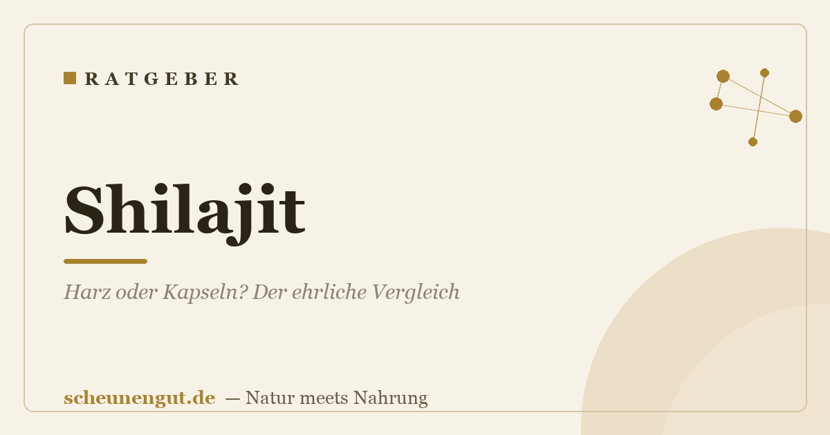Shilajit: Harz oder Kapseln? Der ehrliche Vergleich