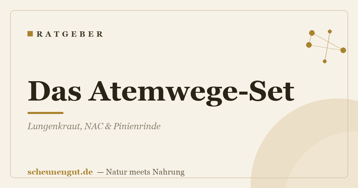 Das Atemwege-Set: Lungenkraut, NAC & Pinienrinde