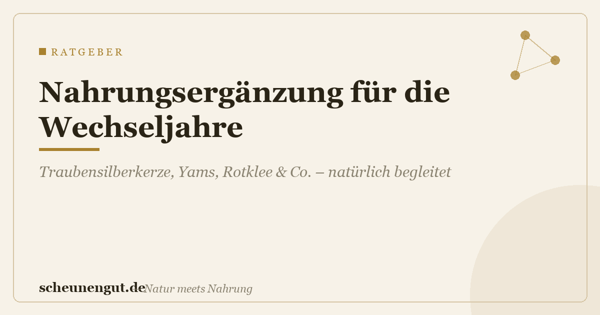 Beste Nahrungsergänzung für die Wechseljahre