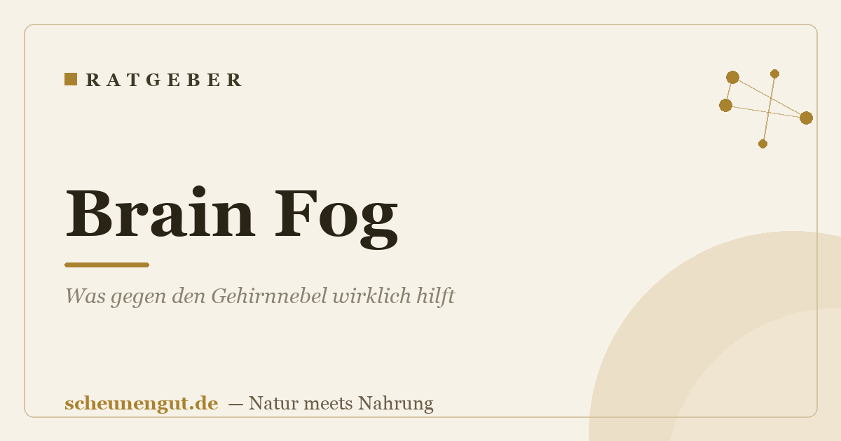 Brain Fog: Was gegen den Gehirnnebel wirklich hilft