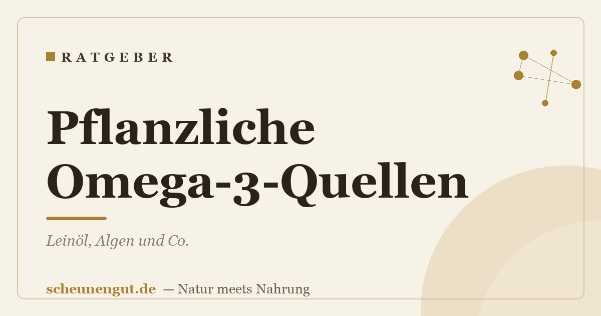 Pflanzliche Omega-3-Quellen: Leinöl, Algen und Co.