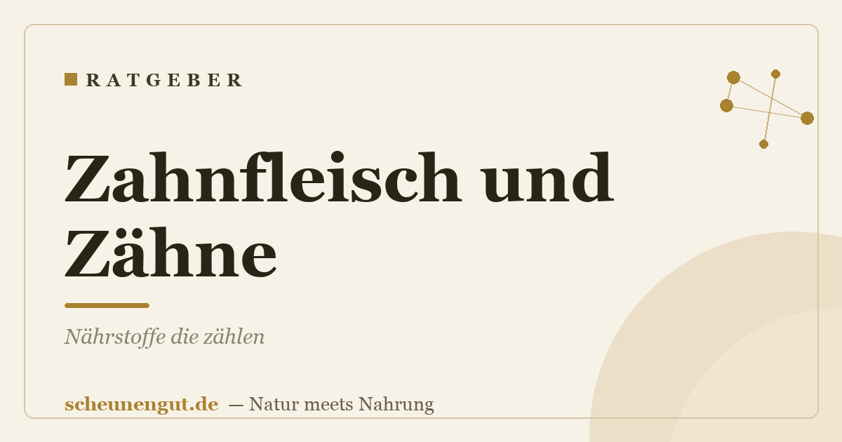 Zahnfleisch und Zähne: Nährstoffe die zählen