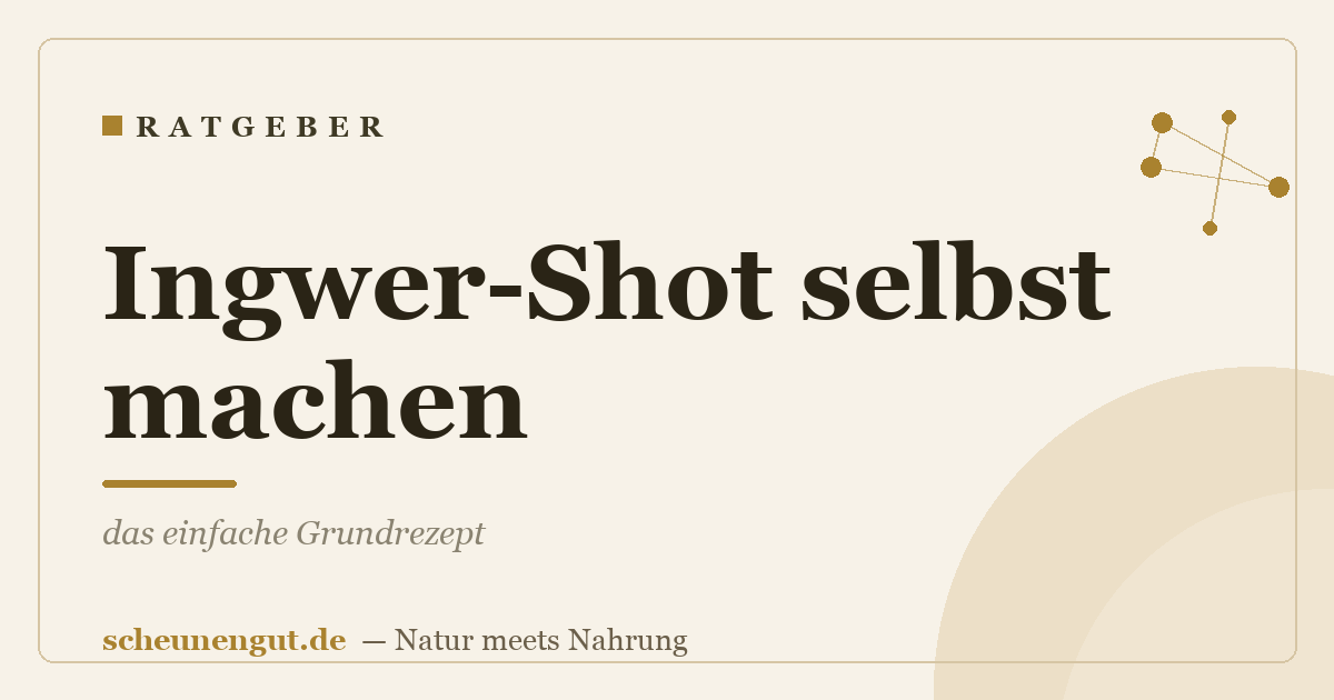 Ingwer-Shot selbst machen: das einfache Grundrezept