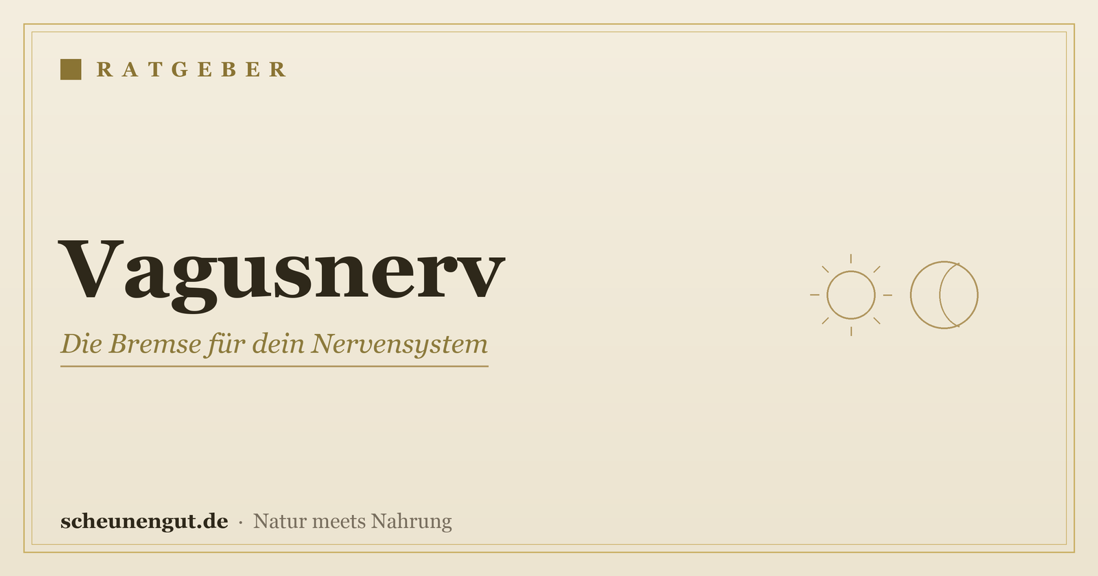 Vagusnerv: Die Bremse für dein Nervensystem