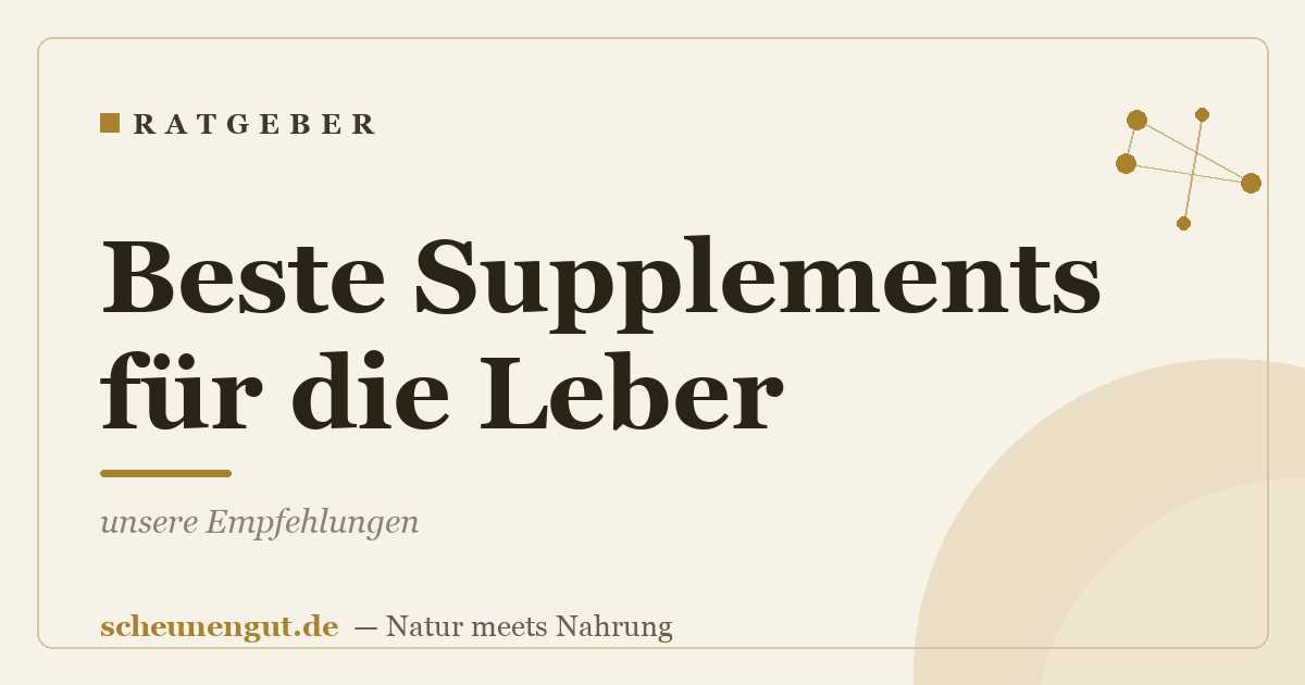 Beste Supplements für die Leber: unsere Empfehlungen