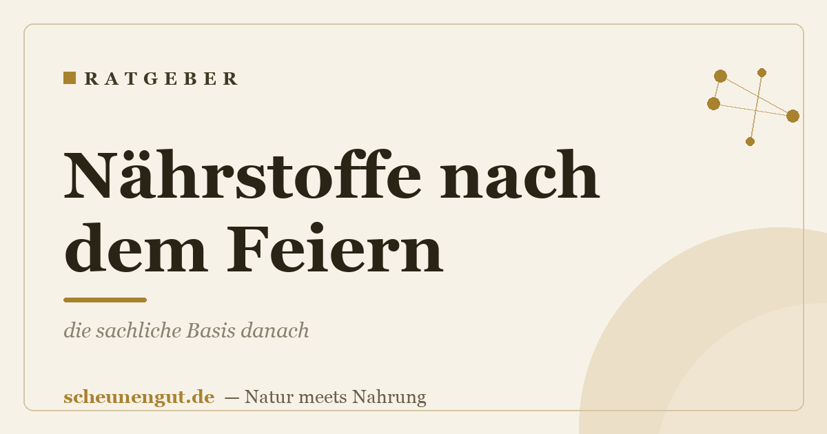 Nährstoffe nach dem Feiern: die sachliche Basis danach