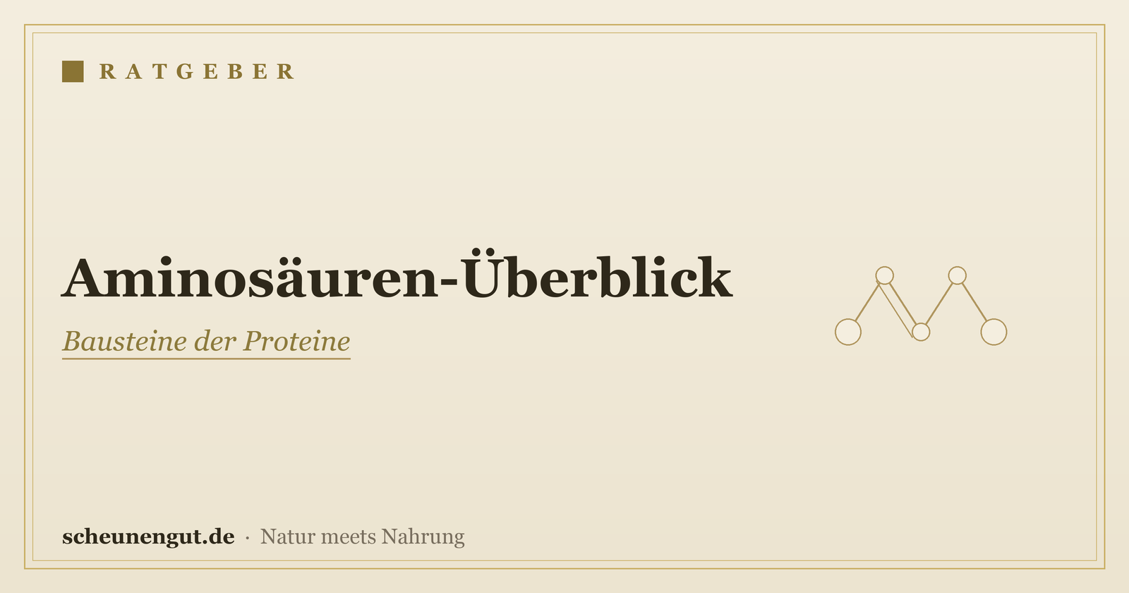 Aminosäuren: der große Überblick – Ratgeber von Scheunengut