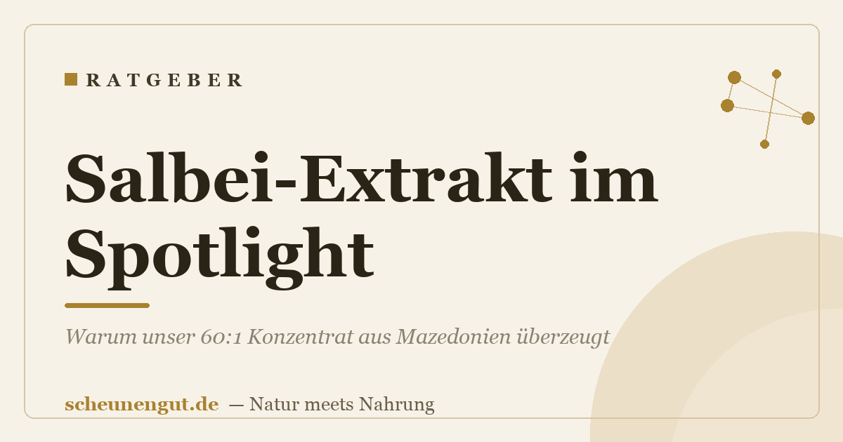 Salbei-Extrakt im Spotlight: Warum unser 60:1 Konzentrat aus Mazedonien überzeugt