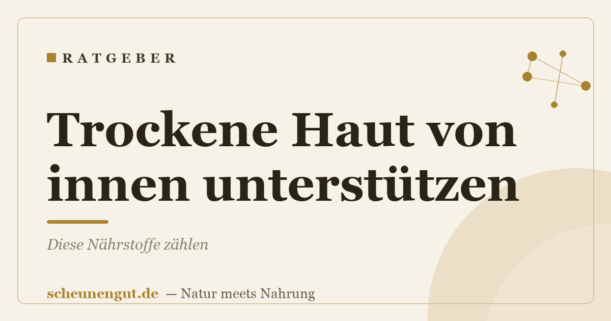 Trockene Haut von innen unterstützen: Diese Nährstoffe zählen