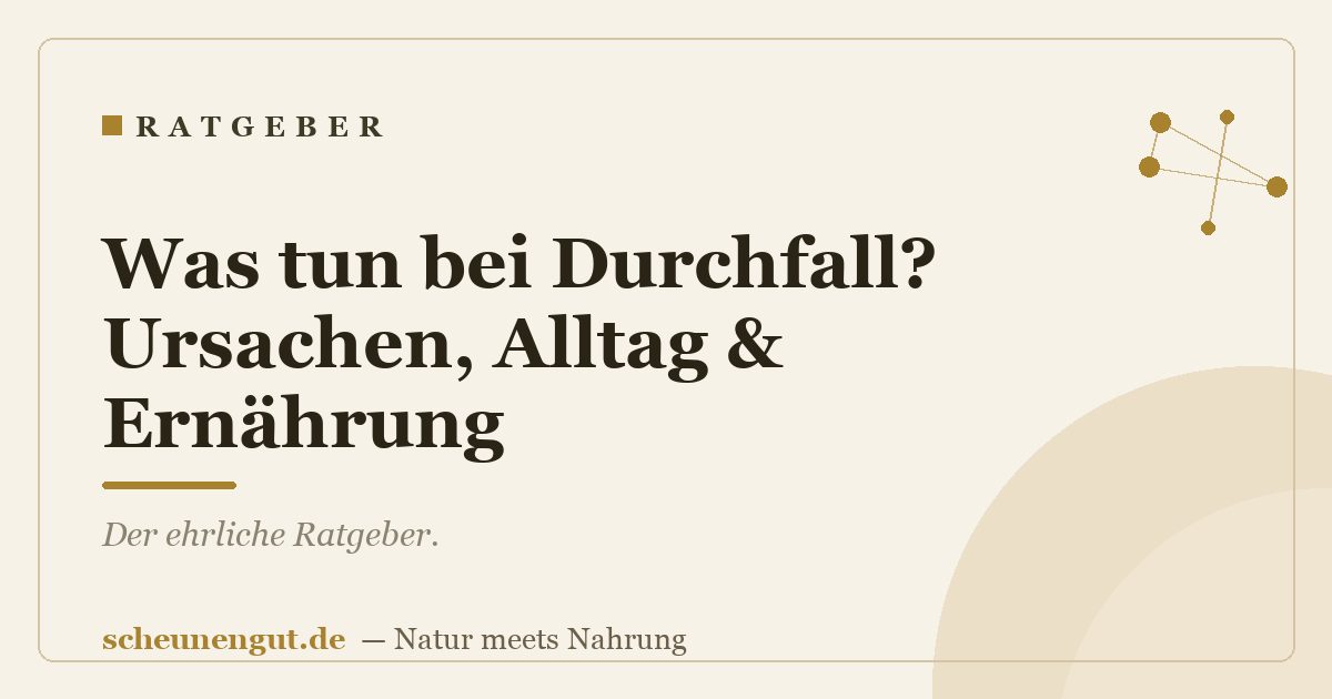Was tun bei Durchfall? Ursachen, Alltag & Ernährung
