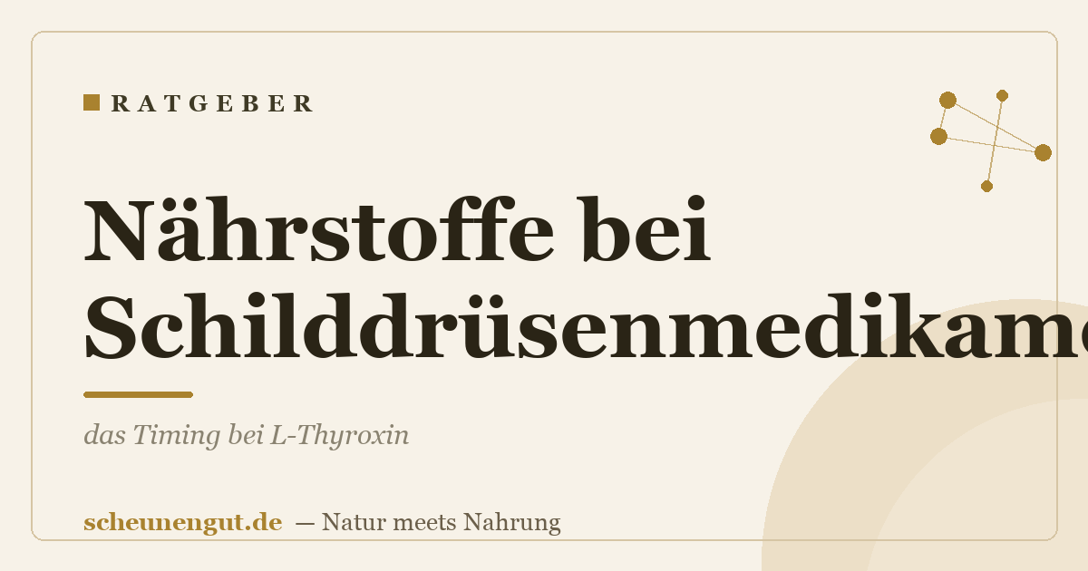 Nährstoffe bei Schilddrüsenmedikamenten: das Timing bei L-Thyroxin