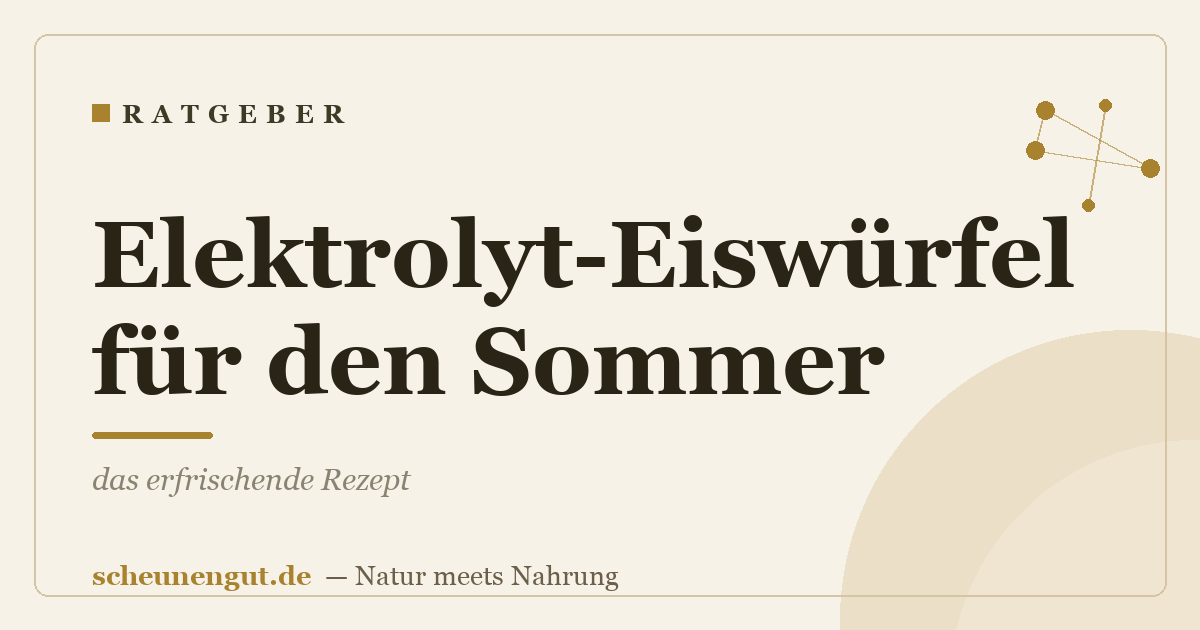 Elektrolyt-Eiswürfel für den Sommer: das erfrischende Rezept