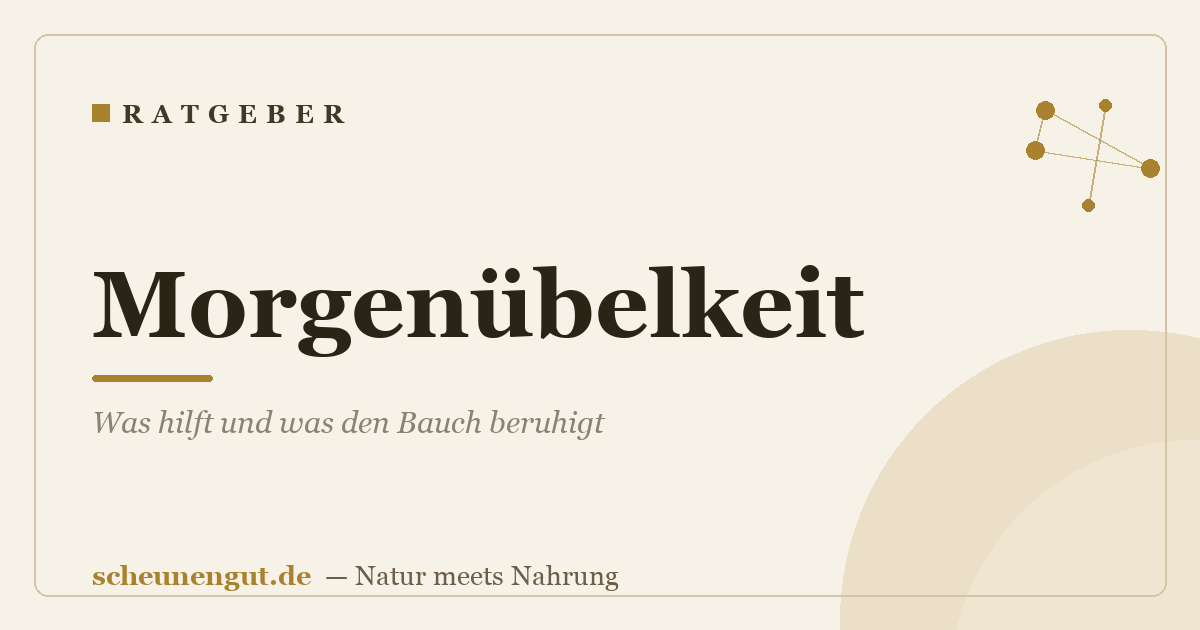 Morgenübelkeit: Was hilft und was den Bauch beruhigt