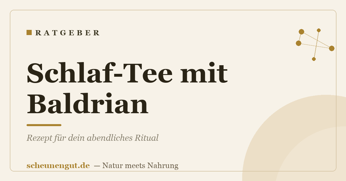 Schlaf-Tee mit Baldrian: Rezept für dein abendliches Ritual