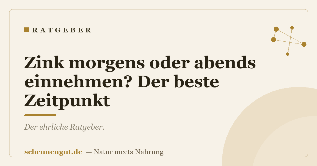 Zink morgens oder abends einnehmen? Der beste Zeitpunkt